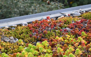 the cost of Northcourt green roof installation